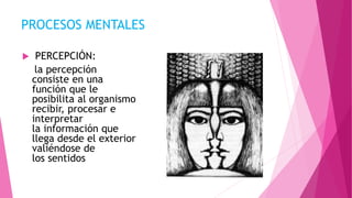 PROCESOS MENTALES
 PERCEPCIÓN:
la percepción
consiste en una
función que le
posibilita al organismo
recibir, procesar e
interpretar
la información que
llega desde el exterior
valiéndose de
los sentidos
 