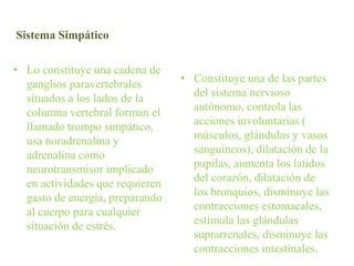 Sistema Simpático
• Constituye una de las partes
del sistema nervioso
autónomo, controla las
acciones involuntarias (
músculos, glándulas y vasos
sanguíneos), dilatación de la
pupilas, aumenta los latidos
del corazón, dilatación de
los bronquios, disminuye las
contracciones estomacales,
estimula las glándulas
suprarrenales, disminuye las
contracciones intestinales.
• Lo constituye una cadena de
ganglios paravertebrales
situados a los lados de la
columna vertebral forman el
llamado trompo simpático,
usa noradrenalina y
adrenalina como
neurotransmisor implicado
en actividades que requieren
gasto de energía, preparando
al cuerpo para cualquier
situación de estrés.
 