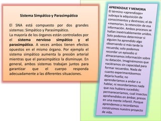 Sistema Simpático y Parasimpático
El SNA está compuesto por dos grandes
sistemas: Simpático y Parasimpático.
La mayoría de los órganos están controlados por
el sistema nervioso simpático y el
parasimpático. A veces ambos tienen efectos
opuestos en el mismo órgano. Por ejemplo el
sistema simpático aumenta la presión arterial
mientras que el parasimpático la disminuye. En
general, ambos sistemas trabajan juntos para
garantizar que el cuerpo responda
adecuadamente a las diferentes situaciones.
 