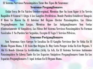 El Sistema Nervioso Parasimpático Tiene Dos Tipos De Neuronas:
Neuronas Preganglionares
Están Cerca De Un Núcleo Cerebro-espinal, Mientras Que Su Axon Sigue A Un Nervio
Raquídeo O Craneal Y Llega A Los Ganglios Periféricos, Donde Pueden Establecer Sinapsis
O Bien Lo Hacen En El Interior Del Órgano Efector Parasimpático. Las Fibras
Preganglionares Son Largas, Mientras Que Las Antiganglionares Son Cortas
(Contrariamente Al Simpático). Las Fibras Del Sistema Nervioso Parasimpático No Forman
Fascículos Y No Pueden Ser Seguidas, Excepto El Vago Y Nervios Pélvicos.
Neuronas Postganglionares
Son Neuronas Cuyo Cuerpo Se Localiza En El Ganglio Nervioso Que Se Sitúa En El
Mismo Órgano Diana, Y El Axón Que Origina Es Muy Corto Porque Actúa En Este Órgano. Y
Ahí Es Donde Liberan La Acetilcolina (Ach). La Ach, En El Sistema Nervioso Autónomo
Parasimpático Se Libera Tanto En Los Espacios Sinápticos Preganglionares Como En Los
Espacios Posganglionares Y Aquí Actúan En El Órgano Diana.
 