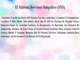 El Sistema Nervioso Simpático (SNS)
Constituye Una De Las Partes Del Sistema Nervioso Autónomo Y Contiene Un Componente
Sensitivo Y Otro Motor. Esto Quiere Decir Que El SNS Se Encarga De Regular Ciertas
Funciones Como La Actividad Cardíaca, La Respiración, La Digestión, Los Patrones De
Sudoración, Etcétera. De Esta Forma, El Cerebro Puede Controlar Otras Acciones Como El
Pensar, Hablar Y Caminar, Mientras Que El Sistema Nervioso Autónomo Controla Otras
Funciones, Así Se Promueve Un Balance En El Organismo.
 