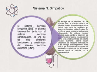 Sistema N. Simpático
Se encarga de la inervación de los
músculos lisos, el músculo cardíaco, las
glándulas de todo el organismo y es el que
controla gran parte del organismo en
situaciones de peligro, estrés y/o miedo. Su
función se puede considerar relativamente
independiente del sistema nervioso
somático, pues cuando se destruyen las
conexiones con el sistema nervioso central
(SNC) y la porción periférica del sistema
nervioso autónomo, todavía siguen
funcionando las estructuras inervadas por
él. Sin embargo, esta independencia no es
total, ya que la actividad del SNA puede ser
aumentada o disminuida por el sistema
nervioso central, en particular, por la
corteza cerebral.
El sistema nervioso
simpático (SNS) o sistema
toracolumbar junto con el
sistema nervioso
parasimpático, es una de
las dos divisiones
funcionales y anatómicas
del sistema nervioso
autónomo (SNA).
 