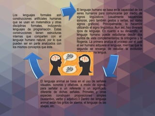 El lenguaje humano se basa en la capacidad de los
seres humanos para comunicarse por medio de
signos lingüísticos (usualmente secuencias
sonoras, pero también gestos y señas, así como
signos gráficos). Principalmente, lo hacemos
utilizando el signo lingüístico. Aun así, hay diversos
tipos de lenguaje. En cuanto a su desarrollo, el
lenguaje humano puede estudiarse desde dos
puntos de vista complementarios: la ontogenia y la
filogenia. La primera analiza el proceso por el cual
el ser humano adquiere el lenguaje, mientras que la
segunda se encarga de estudiar la evolución
histórica de una lengua.
El lenguaje animal se basa en el uso de señales
visuales, sonoras y olfativas, a modo de signos,
para señalar a un referente o un significado
diferente de dichas señales. Primates y otras
especies construyen proposiciones simples
(sustantivo, verbo y adjetivo).3 Dentro del lenguaje
animal están los gritos de alarma, el lenguaje de las
abejas, etc.
Los lenguajes formales son
construcciones artificiales humanas
que se usan en matemática y otras
disciplinas formales, incluyendo
lenguajes de programación. Estas
construcciones tienen estructuras
internas que comparten con el
lenguaje humano natural, por lo que
pueden ser en parte analizados con
los mismos conceptos que éste.
 