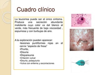 Cuadro clínico 
La leucorrea puede ser el único síntoma. 
Produce una secreción abundante 
maloliente cuyo color va del blanco al 
verde, más frecuente de baja viscosidad , 
espumosa y con burbujas de aire. 
A la exploración pueden aparecer: 
•lesiones puntiformes rojas en el 
cervix “aspecto de fresa” 
•Prurito, 
•Disuria 
•Dispareunia 
•Irritación vulvar 
•Disuria, polaquiuria 
•Vulva con eritema y excoriaciones 
 