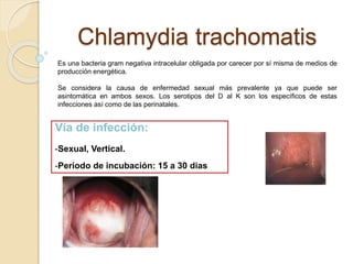Chlamydia trachomatis 
Es una bacteria gram negativa intracelular obligada por carecer por sí misma de medios de 
producción energética. 
Se considera la causa de enfermedad sexual más prevalente ya que puede ser 
asintomática en ambos sexos. Los serotipos del D al K son los específicos de estas 
infecciones así como de las perinatales. 
Vía de infección: 
-Sexual, Vertical. 
-Periodo de incubación: 15 a 30 dias 
 