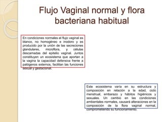 Flujo Vaginal normal y flora 
bacteriana habitual 
En condiciones normales el flujo vaginal es 
blanco, no homogéneo e inodoro y es 
producido por la unión de las secreciones 
glandulares, microflora, y células 
descamadas del epitelio vaginal. Juntos 
constituyen un ecosistema que aportan a 
la vagina la capacidad defensiva frente a 
patógenos externos, facilitan las funciones 
sexual y gestacional. 
Este ecosistema varía en su estructura y 
composición en relación a la edad, ciclo 
menstrual, embarazo y hábitos higiénicos y 
sexuales. Un cambio en las condiciones 
ambientales normales, causará alteraciones en la 
composición de la flora vaginal normal, 
comprometiendo su funcionamiento. 
 