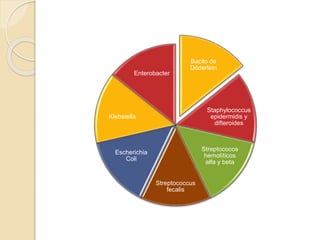 Bacilo de 
Döderlein 
Staphylococcus 
epidermidis y 
difteroides 
Streptococos 
hemolíticos 
alfa y beta 
Enterobacter 
Streptococcus 
fecalis 
Klebsiella 
Escherichia 
Coli 
 