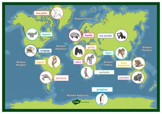 Océano
Pacífico
Océano Ártico
oso polar
mico
nocturno
wombat
suricato
gorila
tigre
oso panda
cebra
mapache
hurón
zarigüeya
pingüino
perezoso
jaguar Océano
Índico
Océano
Atlántico
Océano
Pacífico
Océano Antártico
visita twinkl.es
 