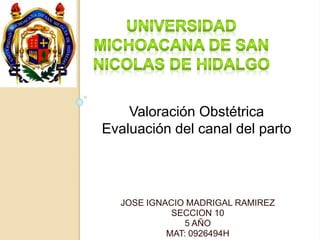 Valoración Obstétrica 
Evaluación del canal del parto 
JOSE IGNACIO MADRIGAL RAMIREZ 
SECCION 10 
5 AÑO 
MAT: 0926494H 
 