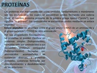 Las proteínas son macromoléculas cuyas unidades fundamentales o monómeros
son los aminoácidos, los cuales se encuentran unidos formando una cadena
lineal. El nombre proteína proviene de la palabra griega πρώτα ("prota"), que
significa "lo primero". Los aminoácidos se encuentran unidos mediante un enlace
peptídico
Enlace peptídico: es un enlace entre el grupo amino (–NH2) de un aminoácido y
el grupo carboxilo (–COOH) de otro aminoácido
Por sus propiedades fisicoquímicas,
las proteínas se pueden clasificar en
proteínas simples (holoproteidos),
formadas solo por aminoácidos o sus
derivados; proteínas conjugadas
(heteroproteidos), formadas por
aminoácidos acompañados de
sustancias diversas, y proteínas
derivadas, sustancias formadas por
desnaturalización y desdoblamiento
de las anteriores.
 