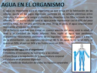 El agua es importante para el organismo ya que actúa en la fabricación de las
células, ayuda en los jugos digestivos, participa en las señales eléctricas entre
músculos, transporta la sangre y elimina los desechos y los filtra a través de los
riñones. En un sujeto adulto sano el agua puede representar casi el 60% del peso
corporal total. Así, en una persona de unos 70 kg de peso, el agua corporal total
representa alrededor de 40 litros.
Otros factores que hay que tomar en cuenta además del peso, está la edad, el
sexo y la cantidad de tejido adiposo. Para suplir el agua que perdemos
diariamente necesitamos obtenerlo de su ingestión como agua pura o a través
de la alimentación. Los vegetales tienen un 80 % de agua, la carne un 65%, el
queso un 50%, el pan un 34% y los frutos secos un 20%.
Funciones del agua en el organismo:
• Posibilita el transporte de nutrientes a las células
• Contribuye a la regulación de la temperatura corporal
• Colabora en el proceso digestivo
• Es el medio de disolución de todos los líquidos corporales
 