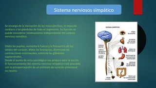 Sistema nerviosos simpáticoSistema nerviosos simpático
Se encarga de la inervación de los músculos lisos, el músculo
cardíaco y las glándulas de todo el organismo. Su función se
puede considerar relativamente independiente del sistema
nervioso somático.
Dilata las pupilas, aumenta la fuerza y la frecuencia de los
latidos del corazón, dilata los bronquios, disminuye las
contracciones estomacales, estimula las glándulas
suprarrenales.
Desde el punto de vista psicológico nos prepara para la acción.
El funcionamiento del sistema nervioso simpático está asociado
con la psicopercepción de un estímulo de carácter emocional
no neutro.
 