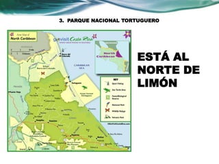 3. PARQUE NACIONAL TORTUGUERO 
ESTÁ AL 
NORTE DE 
LIMÓN 
 