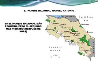 6. PARQUE NACIONAL MANUEL ANTONIO 
ES EL PARQUE NACIONAL MÁS 
PEQUEÑO, PERO EL SEGUNDO 
MÁS VISITADO (DESPUÉS DE 
POÁS) 
 