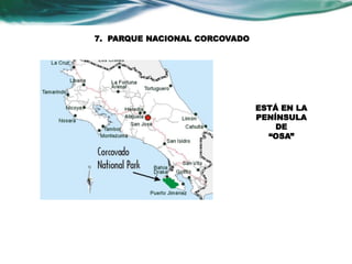 7. PARQUE NACIONAL CORCOVADO 
ESTÁ EN LA 
PENÍNSULA 
DE 
“OSA” 
 