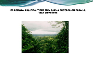 ES REMOTA, PACÍFICA. TIENE MUY BUENA PROTECCIÓN PARA LA 
VIDA SILVESTRE 
 