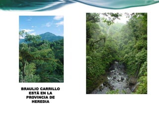 BRAULIO CARRILLO 
ESTÁ EN LA 
PROVINCIA DE 
HEREDIA 
 