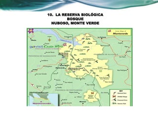 10. LA RESERVA BIOLÓGICA 
BOSQUE 
NUBOSO, MONTE VERDE 
 