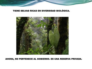 TIENE SELVAS RICAS EN DIVERSIDAD BIOLÓGICA. 
AHORA, NO PERTENECE AL GOBIERNO. ES UNA RESERVA PRIVADA. 
 