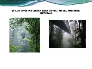 ¡Y LOS TURISTAS VIENEN PARA DISFRUTAR DEL AMBIENTE 
NATURAL! 
 
