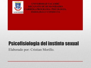 Psicofisiologia del instinto sexual
Elaborado por: Cristian Morillo.
UNIVERSIDAD YACAMBÚ
DECANATO DE HUMANIDADES
CARRERA-PROGRAMA: PSICOLOGÍA.
FISIOLOGIA Y CONDUCTA
 