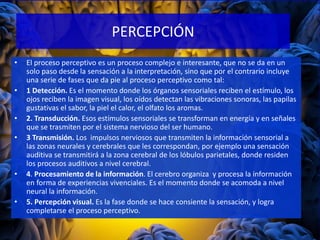 • El proceso perceptivo es un proceso complejo e interesante, que no se da en un
solo paso desde la sensación a la interpretación, sino que por el contrario incluye
una serie de fases que da pie al proceso perceptivo como tal:
• 1 Detección. Es el momento donde los órganos sensoriales reciben el estímulo, los
ojos reciben la imagen visual, los oídos detectan las vibraciones sonoras, las papilas
gustativas el sabor, la piel el calor, el olfato los aromas.
• 2. Transducción. Esos estímulos sensoriales se transforman en energía y en señales
que se trasmiten por el sistema nervioso del ser humano.
• 3 Transmisión. Los impulsos nerviosos que transmiten la información sensorial a
las zonas neurales y cerebrales que les correspondan, por ejemplo una sensación
auditiva se transmitirá a la zona cerebral de los lóbulos parietales, donde residen
los procesos auditivos a nivel cerebral.
• 4. Procesamiento de la información. El cerebro organiza y procesa la información
en forma de experiencias vivenciales. Es el momento donde se acomoda a nivel
neural la información.
• 5. Percepción visual. Es la fase donde se hace consiente la sensación, y logra
completarse el proceso perceptivo.
PERCEPCIÓN
 