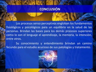 CONCLUSIÓN
Los procesos senso perceptivos engloban los fundamentos
fisiológicos y psicológicos para un equilibrio en la salud de las
personas. Brindan las bases para los demás procesos superiores
como lo son el lenguaje el aprendizaje, la memoria, la intención,
entre otros.
Su conocimiento y entendimiento brindan un camino
fecundo para el estudio acucioso de sus patologías y tratamiento.
 