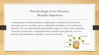 Psicofisiología en los Procesos
Mentales Superiores
Corresponden al almacenamiento, elaboración y traducción de los datos
aportados por los sentidos, para su utilización inmediata y un eventual uso
posterior. Es una operación de pensamiento capaz de actuar sobre estímulos
concretos, situaciones o representaciones mentales para generar, a su vez,
nuevas representaciones mentales o acciones motoras.
 