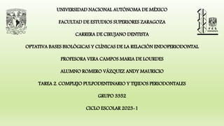 UNIVERSIDAD NACIONAL AUTÓNOMA DE MÉXICO
FACULTAD DE ESTUDIOS SUPERIORES ZARAGOZA
CARRERA DE CIRUJANO DENTISTA
OPTATIVA BASES BIOLÓGICAS Y CLÍNICAS DE LA RELACIÓN ENDOPERIODONTAL
PROFESORA VERA CAMPOS MARIA DE LOURDES
ALUMNO ROMERO VÁZQUEZ ANDY MAURICIO
TAREA 2. COMPLEJO PULPODENTINARIO Y TEJIDOS PERIODONTALES
GRUPO 3352
CICLO ESCOLAR 2023-1
 