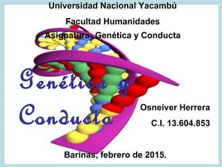 Genética y
Conducta Osneiver Herrera
C.I. 13.604.853
Barinas, febrero de 2015.
Universidad Nacional Yacambú
Facultad Humanidades
Asignatura: Genética y Conducta
 