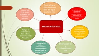 EFECTOS NEGATIVOS
pérdida del
22% de la
superficie de
nuestros
glaciares
Peligro de
extinción de
flora y fauna
biodiversa en la
Amazonía
El aumento de las
temperaturas
intensifica los
incendios forestales y
la expansión de
plagas que afectan los
cultivos.
Destrucción de
la
infraestructura
vial
Pérdida de los
cultivos
vulnerables al
cambio climático
como el maíz, la
papa y el arroz.
En 40 años el
Perú tendría el
60% del agua
que tiene hoy.
Las áreas
ocupadas por
muchas especies
no serán aptas
para su
supervivencia
 