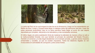 La parte del Perú en la cual empezó la tala fue en la Amazonía y luego se fue expandiendo por
Madre de Dios, Loreto y Ucayali hasta llegar a malograr parte del patrimonio del país. Cada día
estas personas profundizan más en la selva peruana hasta llegar al punto de casi dejarla
depredada por completo, afectando a la naturaleza y a las sociedades cercanas.
El tráfico ilegal y la sobre explotación ilícita de maderas ha afectado de manera crítica no solo a
la institucionalidad forestal, sino que también al principio de autoridad del Estado Peruano.
También el comercio y la tala ilegal desalientan a la inversión privada, y genera serios impactos
ambientales y sociales, ya que se evaden impuestos. Todos los taladores ilegales se ven
involucrados en actividades de corrupción y otros actos ilícitos.
 