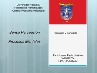 Universidad Yacambú
Facultad de Humanidades
Carrera-Programa: Psicología
Fisiología y ConductaSenso Percepción
Procesos Mentales
Participante: Paula Jiménez
V-17028764
HPS-163-00146V
 