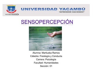 Alumna: Marliuska Ramos
Cátedra: Fisiología y Conducta
Carrera: Psicología
Facultad: Humanidades
Sección: 01
 