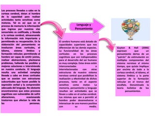 Guyton & Hall (2006)
expresan que un
pensamiento deriva de un
"patrón" de estimulación en
múltiples componentes del
sistema nervioso al mismo
tiempo, que quizás implique
por encima de todo a la
corteza cerebral, el tálamo, el
sistema límbico y la parte
superior de la formación
reticular en el tronco del
encéfalo. Denominado la
teoría holística de los
pensamientos.
.
Lenguaje y
Pensamiento
Los procesos llevados a cabo en la
corteza cerebral, dotan al hombre
de la capacidad para realizar
actividades tanto sensitivas como
motoras. Tal es así que en el
proceso de memoria la información
que ingresa por nuestras vías
sensoriales es codificada, y llevada
a la corteza cerebral, almacenando
la información más importante y
permitiendo su recuperación. En la
elaboración del pensamiento se
involucran áreas corticales, el
tálamo, sistema límbico y
formación reticular; permitiendo al
hombre ser capaz de emitir juicios,
realizar abstracciones, plantearse
problemas, hallando las posibles y
mejores soluciones e interviniendo
en nuestra conducta. El lenguaje
resulta una actividad compleja
llevada a cabo en áreas corticales
que se asocian con estructuras
subcorticales que hacen posible la
expresión verbal y la comprensión
adecuada del lenguaje. No obstante
encontraremos que estos procesos
cognitivos son vulnerables de sufrir
alteraciones, ocasionando
trastornos que afectan la vida de
las personas.
El cerebro humano está dotado de
capacidades superiores que nos
diferencian de las demás especies.
La funcionalidad de las áreas
corticales en los procesos
cognitivos que son indispensables
para el desarrollo del ser humano
es muy compleja. Estas áreas están
interconectadas o
interrelacionadas con otras
estructuras de nuestro sistema
nervioso central que posibilitan la
realización y efectividad de dichos
procesos, tanto en el aspecto
sensitivo como motor. La
memoria, pensamiento y lenguaje
resultan ser actividades que se
llevan a cabo en el cortex cerebral.
Las mismas que van a permitir al
hombre poder desenvolverse e
interactuar de una manera positiva
con su medio.
 