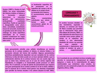 La localización específica de
las sensaciones en la
superficie del cuerpo y de los
objetos en el campo visual.
La sensación de la textura.
El reconocimiento visual de
objetos.
Otras características
individuales que entran a
formar parte del
conocimiento global de un
instante particular.
LENGUAJE Y
PENSAMIENTO
Guyton (1987) y Guyton & Hall
(2001): Las zonas estimuladas
del Sistema Límbico, el tálamo y
la formación reticular
determinan la naturaleza
general del pensamiento,
atribuyéndole cualidades
especificas. Puede ser agradable
o desagradable como placer,
dolor, comodidad, modalidades
toscas de sensación, localización
en grandes zonas del cuerpo. Sin
embargo las zonas específicas
estimuladas de la corteza
cerebral condicionan los rasgos
diferenciados del pensamiento,
tales como:
El cerebro humano dividido en
dos hemisferios, izquierdo y
derecho, se conectan por haces
de fibras cruzadas que permiten
que la información fluya entre
ellos (Reyes & Camacho, 2007). La
más relevante de estas haces es el
conocido como cuerpo calloso. El
córtex es la superficie del
cerebro, y una observación
detallada del mismo nos permite
ver unas especies de
prominencias y depresiones que
reciben el nombre de giros y
surcus, respectivamente.
Cada pensamiento entraña unas señales simultáneas en muchas
porciones de la corteza cerebral, el tálamo, el sistema límbico y la
formación reticular del tronco del encéfalo. Algunos pensamientos
primitivos probablemente dependan casi por completo de los centros
inferiores; la idea del dolor puede ser un buen ejemplo debido a que la
estimulación eléctrica de la corteza humana rara vez suscita algo más
que un dolor leve, mientras que en el caso de ciertas regiones del
hipotálamo, la amígdala y el mesencéfalo puede provocar un dolor
atroz. Por el contrario, un tipo de patrón de pensamiento que requiere
una gran participación de la corteza cerebral es el de la visión, debido a
que la ausencia de la corteza visual genera una absoluta incapacidad
para percibir las formas visuales o los colores (Guyton & Hall, 2001).
Es el resultado de una actividad nerviosa compleja, que
permite la comunicación interpersonal de estados
psíquicos a través de la materialización de signos
multimodales que simbolizan estos estados, de
acuerdo con una convención propia de una comunidad
lingüística (Pérez, 1998).
 
