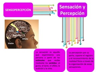 Sensación y
Percepción
SENSOPERCEPCIÓN
La sensación es aquello
que experimenta una
persona a partir de los
estímulos que recibe
mediante los sentidos: el
gusto, el tacto, el olfato, la
audición y la vista.
La percepción por su
parte, supone el registro
y el reconocimiento de la
realidad física a través de
la organización de estas
sensaciones.
 