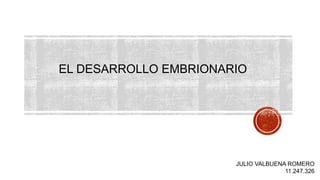 EL DESARROLLO EMBRIONARIO
JULIO VALBUENA ROMERO
11.247.326
 