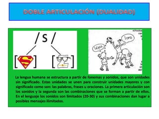 La lengua humana se estructura a partir de fonemas y sonidos, que son unidades
sin significado. Estas unidades se unen para construir unidades mayores y con
significado como son: las palabras, frases u oraciones. La primera articulación son
los sonidos y la segunda son las combinaciones que se forman a partir de ellos.
En el lenguaje los sonidos son limitados (20-30) y sus combinaciones dan lugar a
posibles mensajes ilimitados.
 