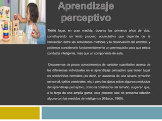 Tiene lugar, en gran medida, durante los primeros años de vida,
constituyendo un lento proceso acumulativo que depende de la
interacción entre las actividades motrices y la observación del entorno, y
podemos considerarlo fundamentalmente un prerrequisito para que exista
conducta inteligente, mas que un componente de esta.
Disponemos de pocos conocimientos de carácter cuantitativo acerca de
las diferencias individuales en el aprendizaje perceptivo que tienen lugar
en condiciones normales (es decir, en ausencia de una severa privación
sensorial, daños cerebrales, etc.), pero los datos sobre algunos productos
del aprendizaje perceptivo, como la constancia del tamaño, sugieren que,
a lo largo de una amplia gama, este proceso casi no presenta relación
alguna con las medidas de inteligencia (Gibson, 1969).
 