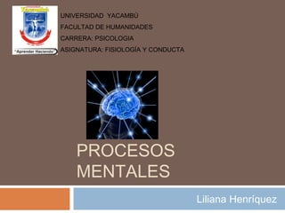 PROCESOS
MENTALES
Liliana Henríquez
UNIVERSIDAD YACAMBÚ
FACULTAD DE HUMANIDADES
CARRERA: PSICOLOGIA
ASIGNATURA: FISIOLOGÍA Y CONDUCTA
 