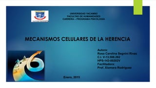 Enero, 2015
UNIVERSIDAD YACAMBÚ
FACULTAD DE HUMANIDADES
CARRERA – PROGRAMA PSICOLOGÍA
Autora:
Rosa Carolina Segnini Rivas
C.I. V-13.588.262
HPS-143-00202V
Facilitadora:
Prof. Xiomara Rodríguez
MECANISMOS CELULARES DE LA HERENCIA
 