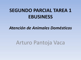 SEGUNDO PARCIAL TAREA 1
EBUSINESS
Atención de Animales Domésticos
Arturo Pantoja Vaca
 