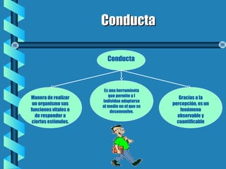 ConductaConducta
Conducta
Gracias a la
percepción, es un
fenómeno
observable y
cuantificable
Manera de realizar
un organismo sus
funciones vitales o
de responder a
ciertos estímulos.
Es una herramienta
que permite a l
individuo adaptarse
al medio en el que se
desenvuelve.
 
