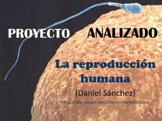 PROYECTO
La reproducción
humana
(Daniel Sánchez)
https://sites.google.com/site/nosreproducimos/
ANALIZADO
 