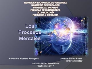 Profesora: Xiomara Rodríguez Alumna: Úrsula Palma
HPS-162-00339V
Sección:THF-0753ED01D0V
Septiembre 2017
 