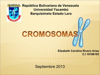 República Bolivariana de Venezuela
Universidad Yacambú
Barquisimeto Estado Lara
Elizabeth Carolina Rivero Arias
C.I 19188103
Septiembre 2013
 