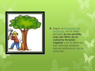  Según el Ministerio del
Ambiente, en la costa
peruana se ha perdido
más del 50% de la
cubierta forestal
vegetal y en la sierra se
han reducido bosques
nativos andinos en vía de
extinción.