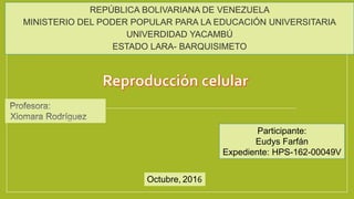REPÚBLICA BOLIVARIANA DE VENEZUELA
MINISTERIO DEL PODER POPULAR PARA LA EDUCACIÓN UNIVERSITARIA
UNIVERDIDAD YACAMBÚ
ESTADO LARA- BARQUISIMETO
Participante:
Eudys Farfán
Expediente: HPS-162-00049V
Octubre, 2016
 
