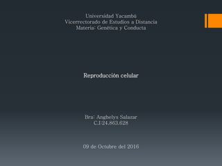 Universidad Yacambú
Vicerrectorado de Estudios a Distancia
Materia: Genética y Conducta
Reproducción celular
Bra: Anghelys Salazar
C.I:24.863.628
09 de Octubre del 2016
 